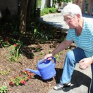 Sieglinde Wiegand, ehemalige Stadträtin, hat auf eigene Initiative das Hochbeet entlang der Grabengasse hinter der Wohnanlage St. Josef verschönert und mit bunten Blumen bepflanzt. Auf eigene Kosten hat sie einen kleinen Steingarten angelegt und viele Be