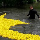 Das große Wettschwimmen