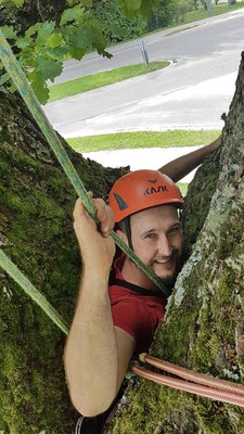 Tobias Dapfer ist durchaus tapfer und steigt in den hohlen Stamm der 350-jährigen Eiche