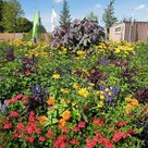 Sommerblumenbeet auf dem Festplatz