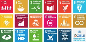 Die 17 Ziele der Agenda 2030