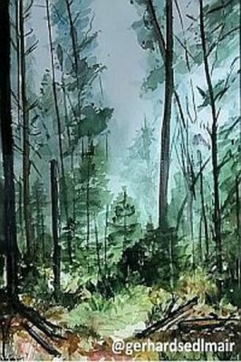 vhs-Kurs: Malen mit Aquarellfarben und Achtsamkeit - Die Magie des Waldes