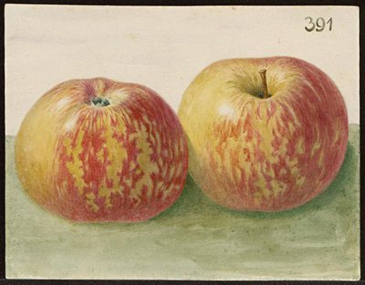 28603_orig.jpg