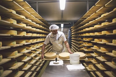 Betriebsführung Naturkäserei „TegernseerLand“ und Papierfabrik Gmund