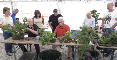 BONSAI "Sommer-Klappspaten"