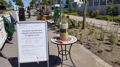 Während der Workshops beim Stadtwerke-Familienfest wurden pflegeleichte Beete angelegt