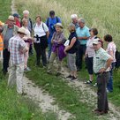 Angenehmes Wanderwetter und eine herrliche Landschaft machten die Familienwanderung der Kolpingsfamilie Pfaffenhofen, die ausgehend von Plocking rund um Scheyern führte, für alle Teilnehmer zu einem erholsamen Erlebnis.
Bild und Text: Treffer