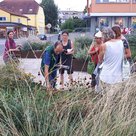 Experten unter sich. Freising zu Besuch in Pfaffenhofen beim obersten Stadtgärtner Mario Dietrich