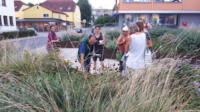 Experten unter sich. Freising zu Besuch in Pfaffenhofen beim obersten Stadtgärtner Mario Dietrich