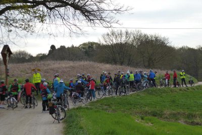 Die Radtouren des ADFC Pfaffenhofen sind sehr beliebt – und das nicht nur während der Aktion Stadtradeln.