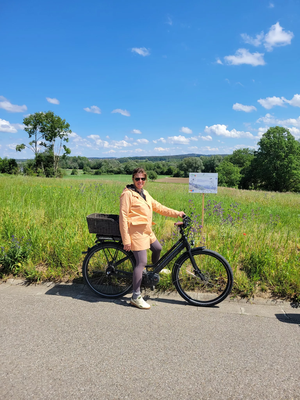 vhs-Exkursion: Heimat entdecken: Paartaler Sanddünen - Bienenfresser & Co – Radtour