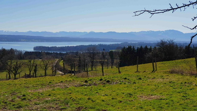 Blick auf den Starnberger See
