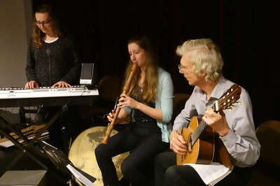 vhs-Konzert: Irish music