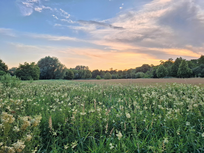 PAFundDU-Infostände: Mehr Natur im Gerolsbachpark
