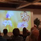 Beim Gartensymposium - Ingolstadt in der Volkshochschule ging es um pestizidfreie Kommunen zum Wohle der Schmetterlinge ...