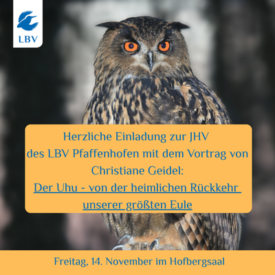 LBV-Jahreshauptversammlung mit Vortrag: "Der Uhu - von der heimlichen Rückkehr unserer größten Eule"