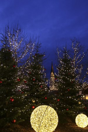 34_Fotopunkt_Wichtelwald_c_Schaipp