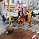 Das Team Stadtgrün der Stadtwerke hat vier Bäume auf dem Oberen Hauptplatz gepflanzt.