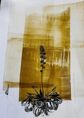 Lithografie zwischen Atelier und Alltag