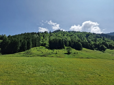 Forum Baukultur lädt ein zur Veranstaltung „BAU NIX“