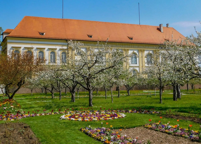 Altstadt Dachau KURFÜRSTLICH und Kloster Indersdorf