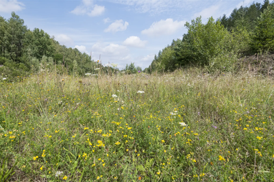 Achtsamer Naturspaziergang im Georlspark für Erwachsene Ü55 und Senioren