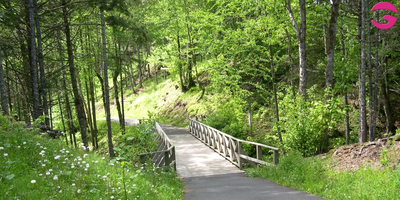 Wegbegleitung für Trauernde - In der Trauer unterwegs sein…