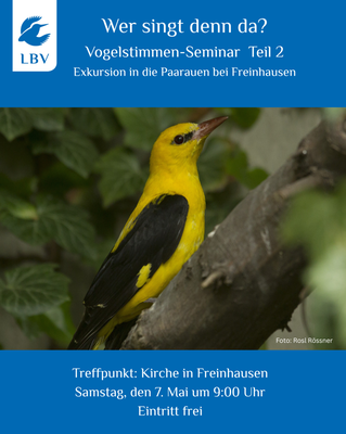 Wer singt denn da? Vogelstimmen-Seminar Teil 2