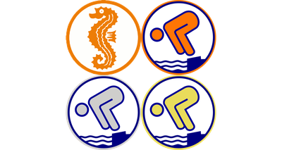 Schwimmabzeichenabnahme