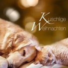 WEIHNACHTLICHE WINTERRUHE  |  Golden-Retriever-Mädchen „Ruby“ und Katerchen „Moritz“ üben Weihnachtsruhe. Beide stammen aus der Tierherberge, haben sich dort kennengelernt und wurden fast gleichzeitig an denselben neuen Platz vermittelt. 
Von wegen: „Wie