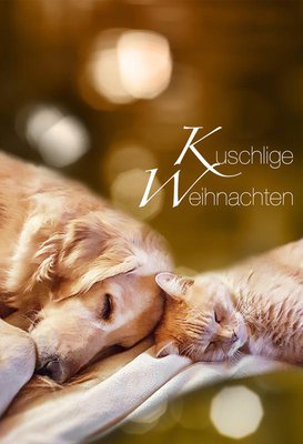 WEIHNACHTLICHE WINTERRUHE  |  Golden-Retriever-Mädchen „Ruby“ und Katerchen „Moritz“ üben Weihnachtsruhe. Beide stammen aus der Tierherberge, haben sich dort kennengelernt und wurden fast gleichzeitig an denselben neuen Platz vermittelt. 
Von wegen: „Wie