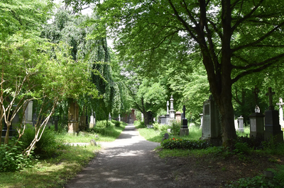Zugfahrt nach München – Viktualienmarkt und Alter Südfriedhof