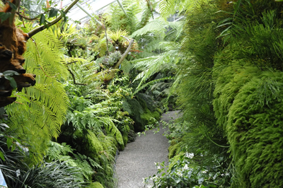 Bernbacher und Botanischer Garten