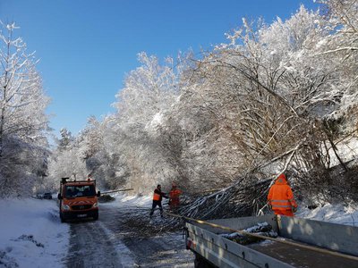 Anton-Schranz-Straße muss wegen Räumungs- und Baumfällarbeiten bis etwas 16 Uhr gesperrt bleiben.