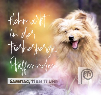 Flohmarkt: Viel Nützliches rund ums Haustier an diesem Samstag in der Tierherberge, An der Weiberrast 2, Pfaffenhofen. Geöffnet von 11 bis 17 Uhr.