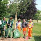 Mario Dietrich (links) und sein Team bei einer früheren Baumpflanzung im Bürgerpark