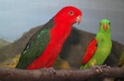46703_orig.jpg