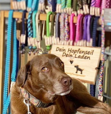 Sie will doch nur spielen? –﻿ Nein, will sie nicht. Nicht jetzt! Frauchen hat kurz den Stand mit den selbstgemachten Hundeleinen verlassen, Rosi übernimmt jetzt mit gestrengem Blick die Standwache. "Damit das klar ist!"