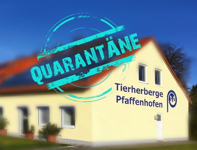 Sicherheit für Mensch und Tier geht vor: Die Tierherberge in Pfaffenhofen ist aktuell für Besucher geschlossen – ohne Ausnahmen                                                                                                                     
                                            (Bildmontage: Ehrenreich)