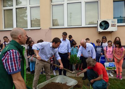 Pfaffenhofener Delegation bei einer Baumpflamzaktion in Valjevo im Mai 2018