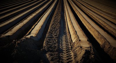 Hilfen für die Land- und Ernährungswirtschaft