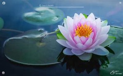Qigong der 5 Elemente