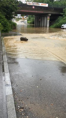 +++ Mehrere Unwettereinsätze im Stadtgebiet +++