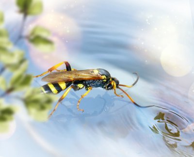 Unter uns – trinken Sie eigentlich genug?