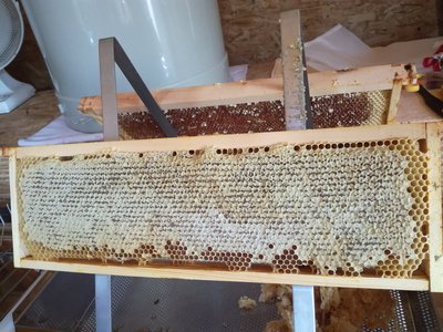 Bienenstöcke und andere Ehrenamtsprojekte