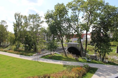 Bürgerpark mit Bäumen und Pflanzen