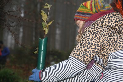 Baumpflanzung im Stiftungswald 2019