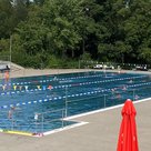 Blick auf das Schwimmerbecken im Pfaffenhofener Freibad. Einge badgäste sind im Wasser, im Hintergrund sind Bäume