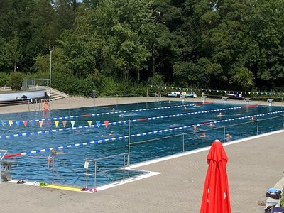 Blick auf das Schwimmerbecken im Pfaffenhofener Freibad. Einge badgäste sind im Wasser, im Hintergrund sind Bäume