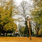 Friedhofsanlage im Herbst